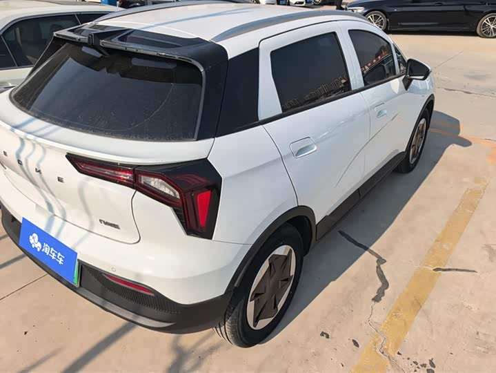 Geely Geometry E Firefly 2024 2024款 301km 星光