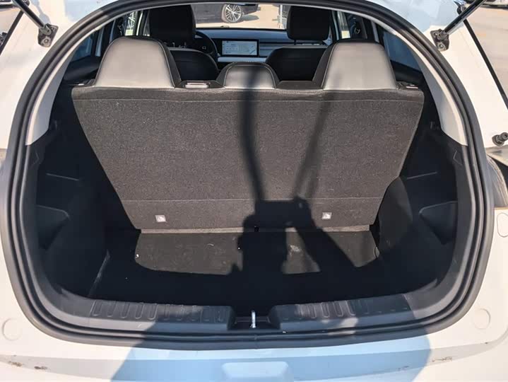 Geely Geometry E Firefly 2024 2024款 301km 星光