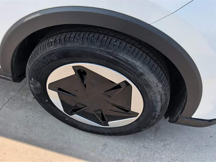 Geely Geometry E Firefly 2024 2024款 301km 星光