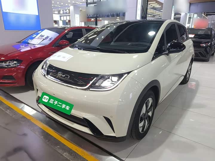 BYD Dolphin 2025 2025款 420km 时尚版