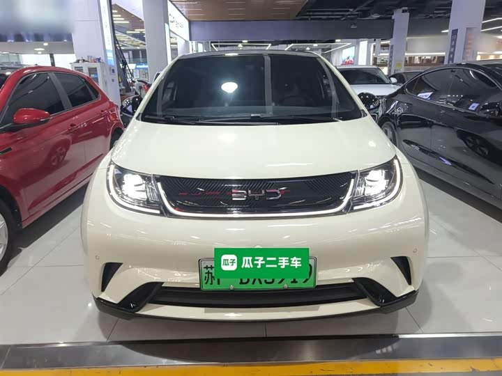 BYD Dolphin 2025 2025款 420km 时尚版
