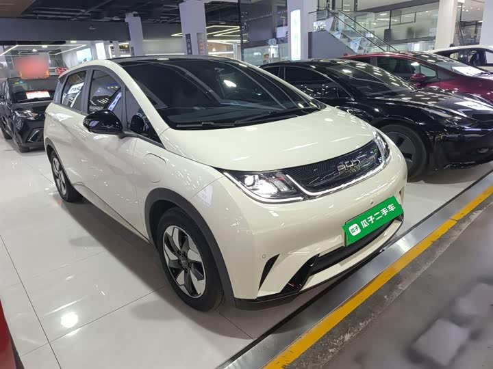 BYD Dolphin 2025 2025款 420km 时尚版