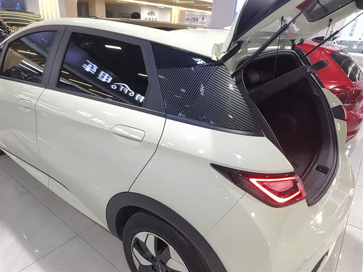 BYD Dolphin 2025 2025款 420km 时尚版