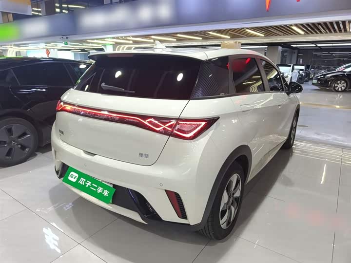 BYD Dolphin 2025 2025款 420km 时尚版