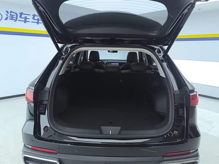 Haval Ruge Max 2023 2023款 1.5L Hi4 105 四驱领航版