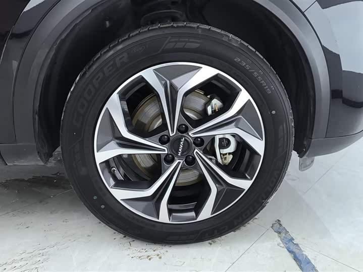 Haval Ruge Max 2023 2023款 1.5L Hi4 105 四驱领航版