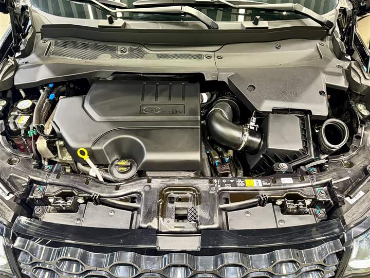 Land Rover Discovery Sport 2025 2025款 249PS 探享特别版