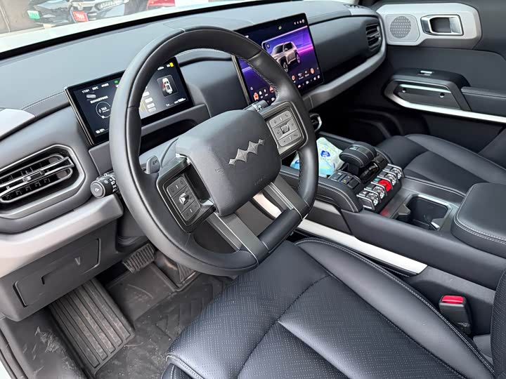 BYD FangChengBao Titanium 3 (Tai 3) 2025 2025款 501KM 后驱Pro版