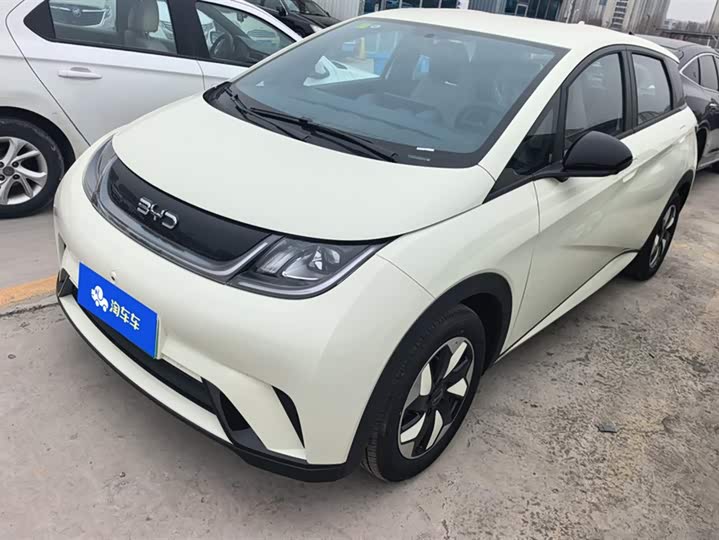 BYD Dolphin 2025 2025款 智驾版 420km 自由版