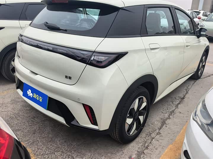 BYD Dolphin 2025 2025款 智驾版 420km 自由版