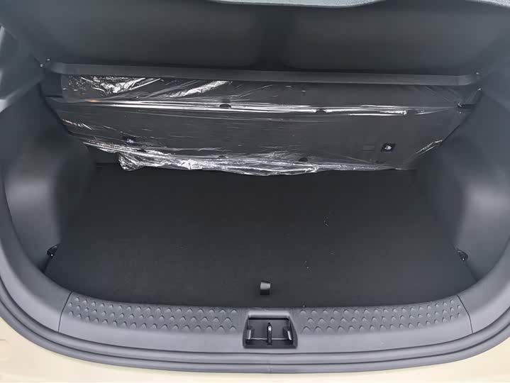 BYD Dolphin 2025 2025款 智驾版 420km 自由版