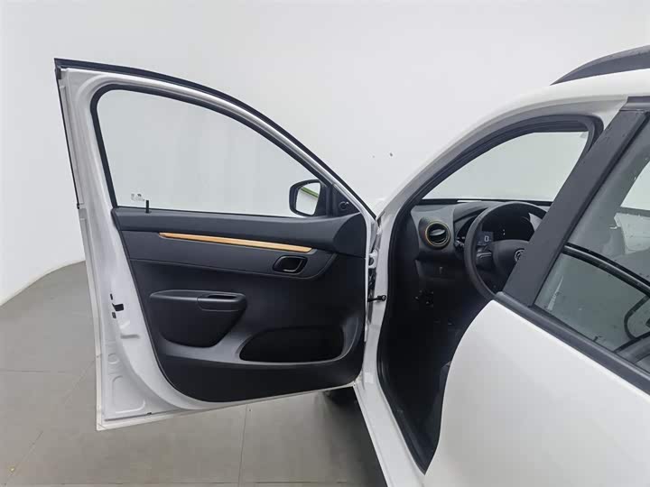 Dongfeng Nammi Nano EX1 Pro 2021 2021款 质行版