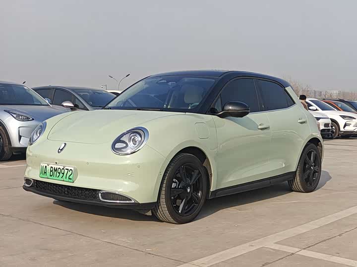 Ora Good Cat (03) 2024 2024款 401km 尊荣型 135kW