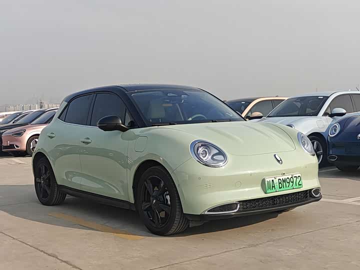 Ora Good Cat (03) 2024 2024款 401km 尊荣型 135kW