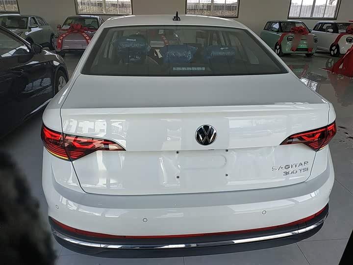 Volkswagen Sagitar L 2025 2025款 300TSI DSG飞越版
