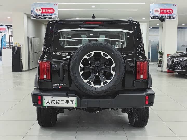 Tank 300 Hybrid 2025 2025款 Hi4-T 37.1kWh