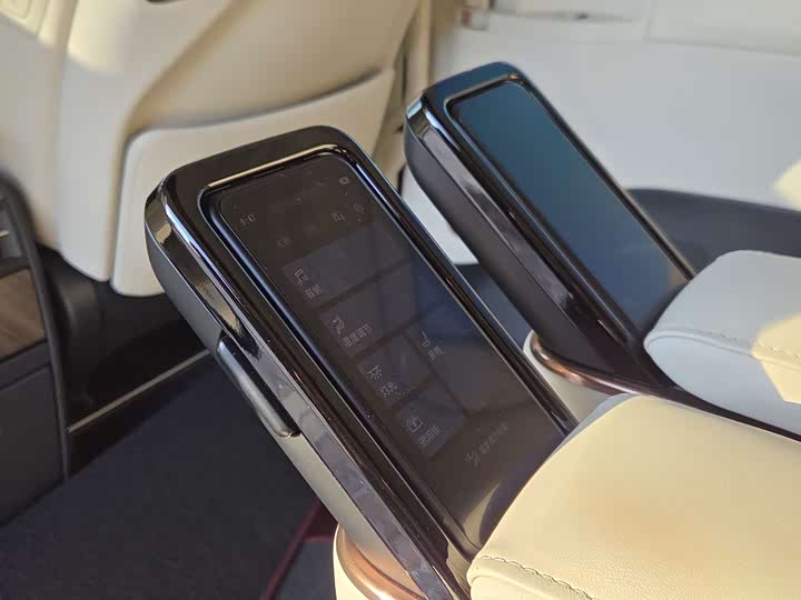 Lexus LM 2023 2023款 500h 六座尊崇版