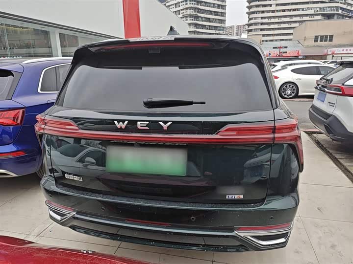 Wey Lanshan 2025 2025款 四驱智驾 Max