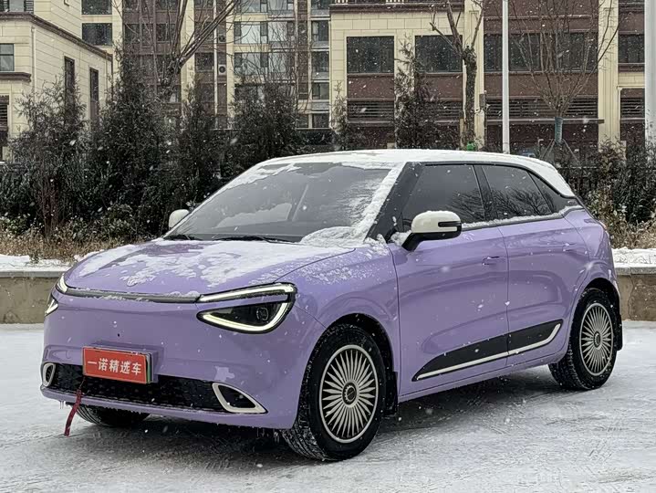 Dongfeng Nammi 01 2024 2024款 330 Plus智+
