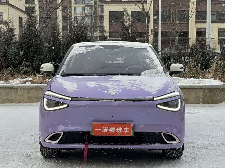 Dongfeng Nammi 01 2024 2024款 330 Plus智+