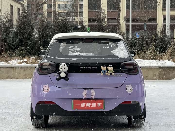 Dongfeng Nammi 01 2024 2024款 330 Plus智+