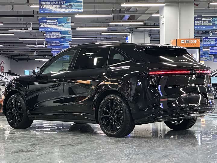 Zeekr 7X 2025 2025款 100kWh 长续航后驱智驾版