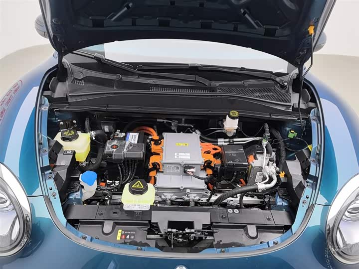 Ora Good Cat (03) 2023 2023款 401km标准续航 豪华型 磷酸铁锂