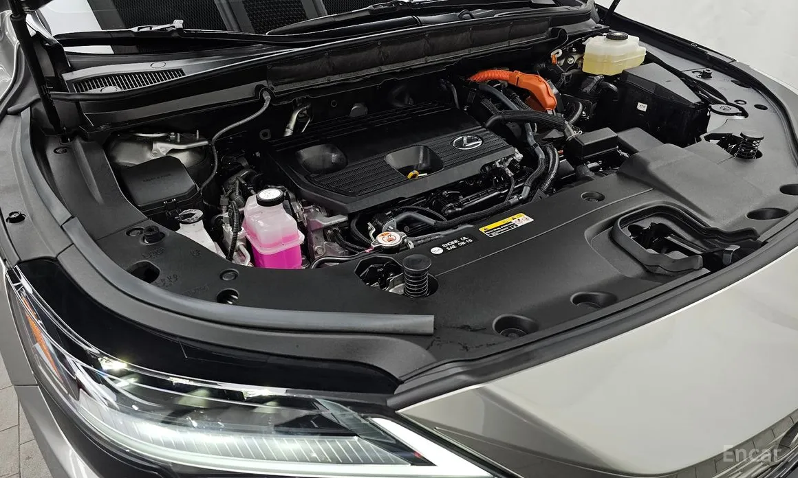 Lexus RX 2023 Luxury