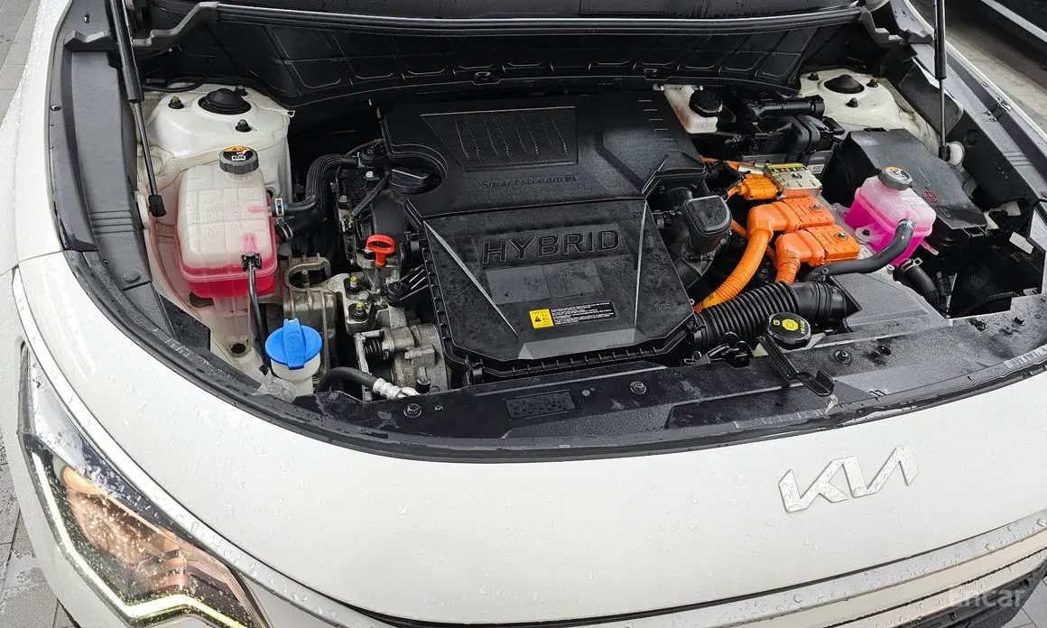 Kia Niro 2022 Trendy