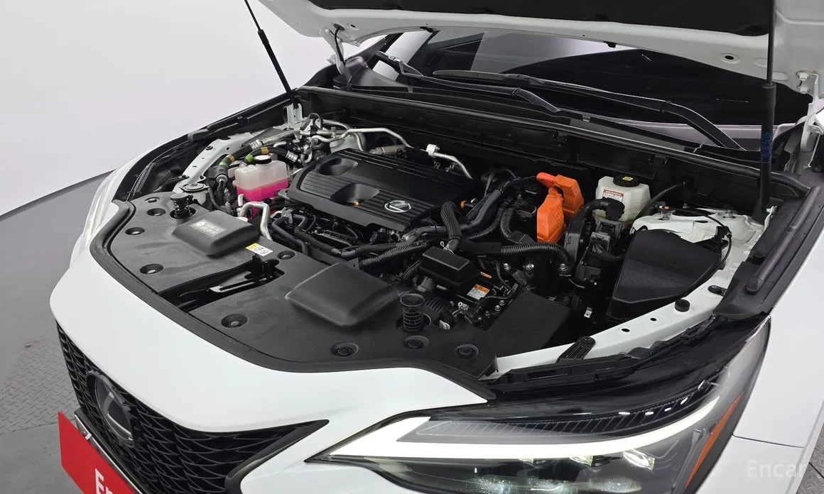 Lexus NX 2022 F-Sport