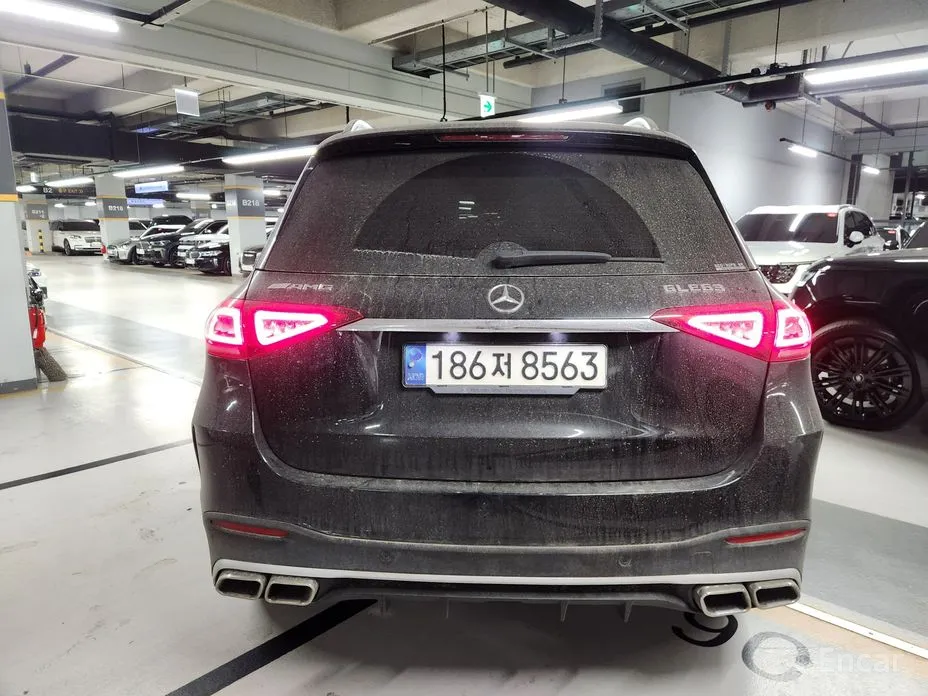 Mercedes-Benz GLE-Class 2019 GLE300d 4MATIC