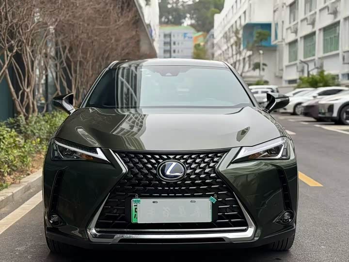 Lexus UX Hybrid 2020 2020款 300e 纯·悦版