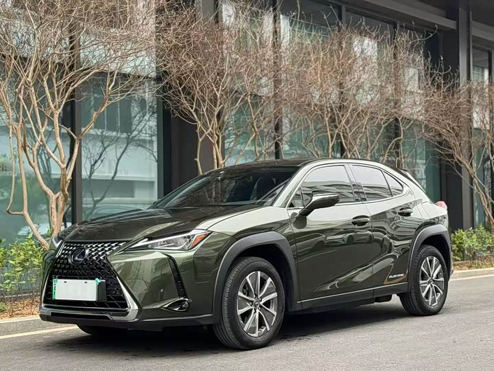 Lexus UX Hybrid 2020 2020款 300e 纯·悦版