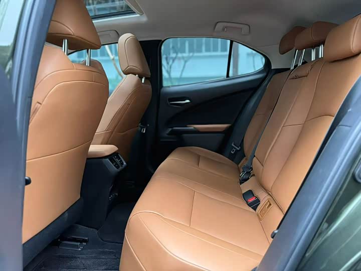 Lexus UX Hybrid 2020 2020款 300e 纯·悦版