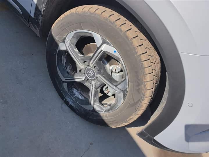 BYD Yuan Plus 2025 2025款 智驾版 430KM 领先型