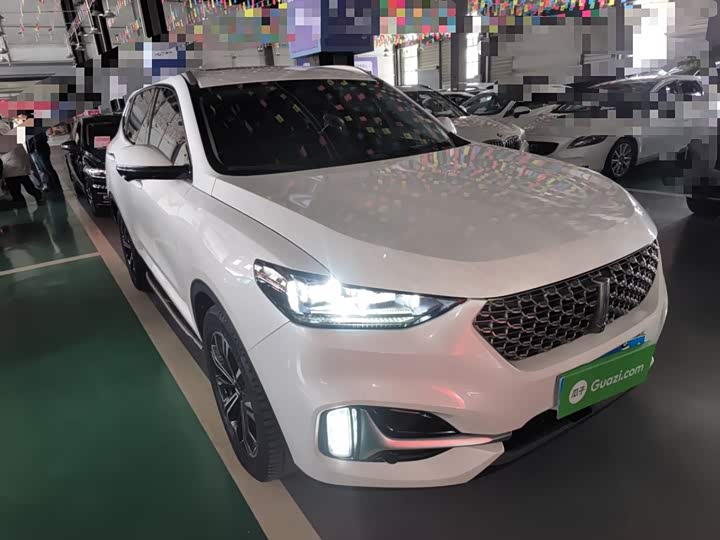 Wey VV6 2021 2021款 2.0T 两驱智护+