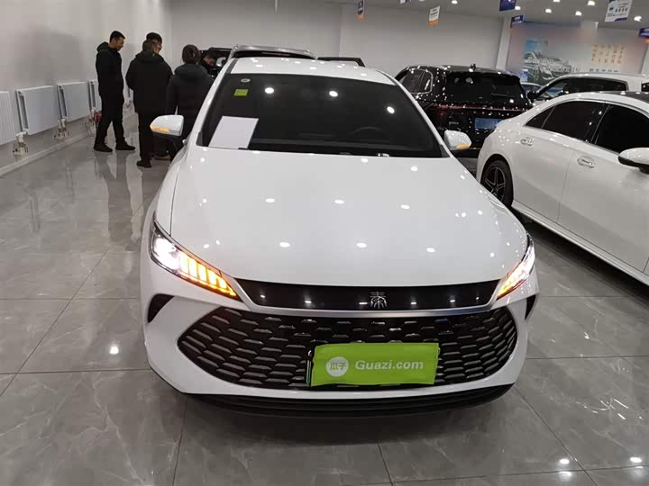 BYD Qin Plus 2025 2025款 DM-i 智驾版 55KM领先型