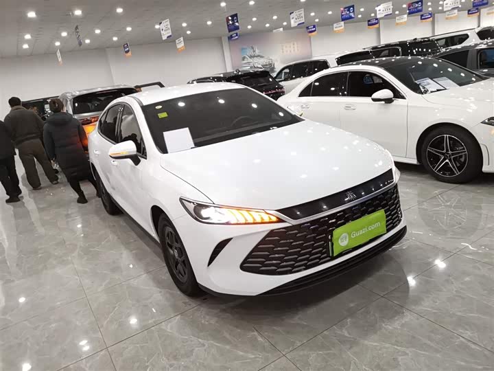 BYD Qin Plus 2025 2025款 DM-i 智驾版 55KM领先型