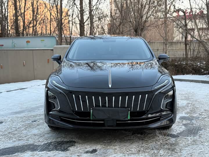 Hongqi E-QM5 2024 2024款 610km PLUS
