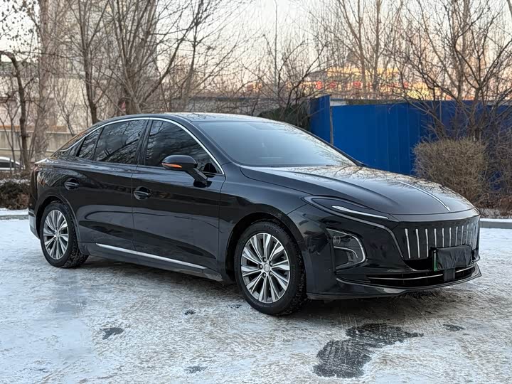 Hongqi E-QM5 2024 2024款 610km PLUS