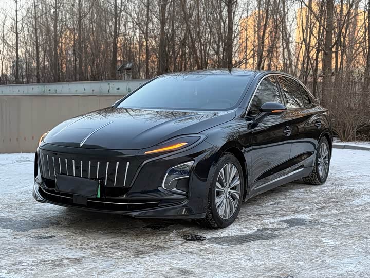 Hongqi E-QM5 2024 2024款 610km PLUS