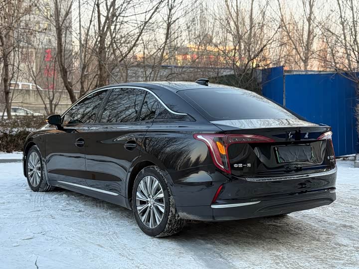 Hongqi E-QM5 2024 2024款 610km PLUS