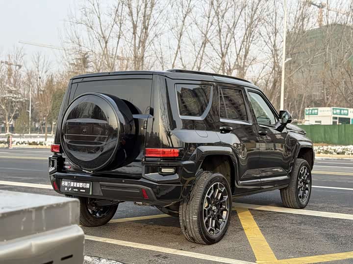 Tank 700 Hybrid 2024 2024款 Hi4-T 极境版