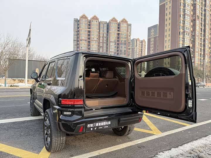 Tank 700 Hybrid 2024 2024款 Hi4-T 极境版