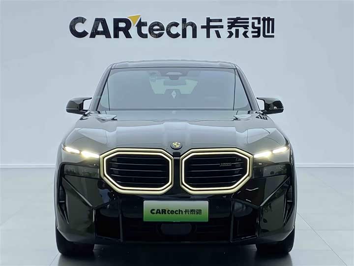 BMW XM 2023 2023款 基本型