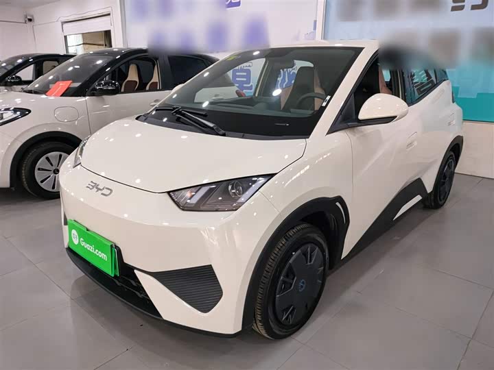 BYD Seagull 2025 2025款 智驾版 305km 活力版