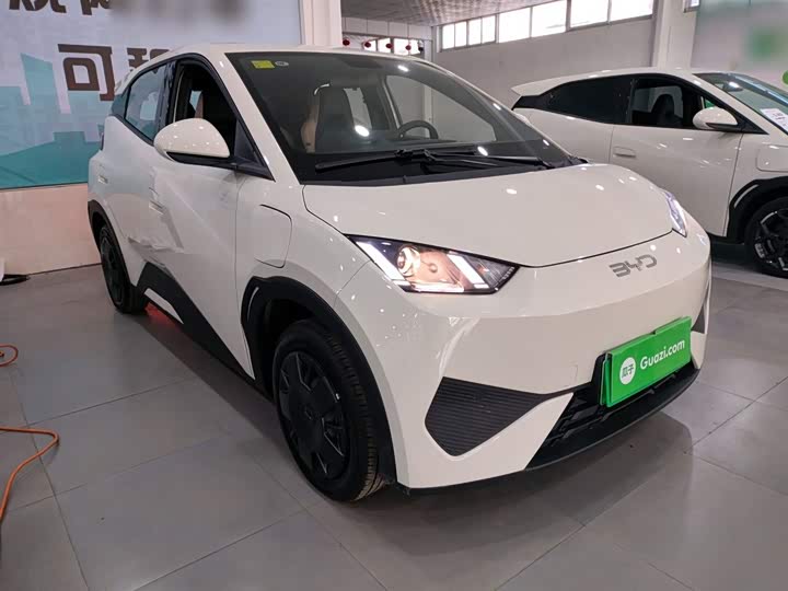 BYD Seagull 2025 2025款 智驾版 305km 活力版