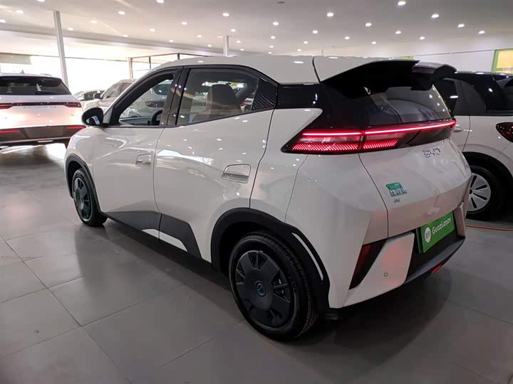 BYD Seagull 2025 2025款 智驾版 305km 活力版