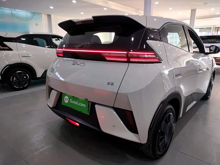 BYD Seagull 2025 2025款 智驾版 305km 活力版