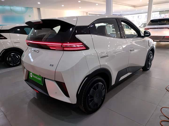 BYD Seagull 2025 2025款 智驾版 305km 活力版